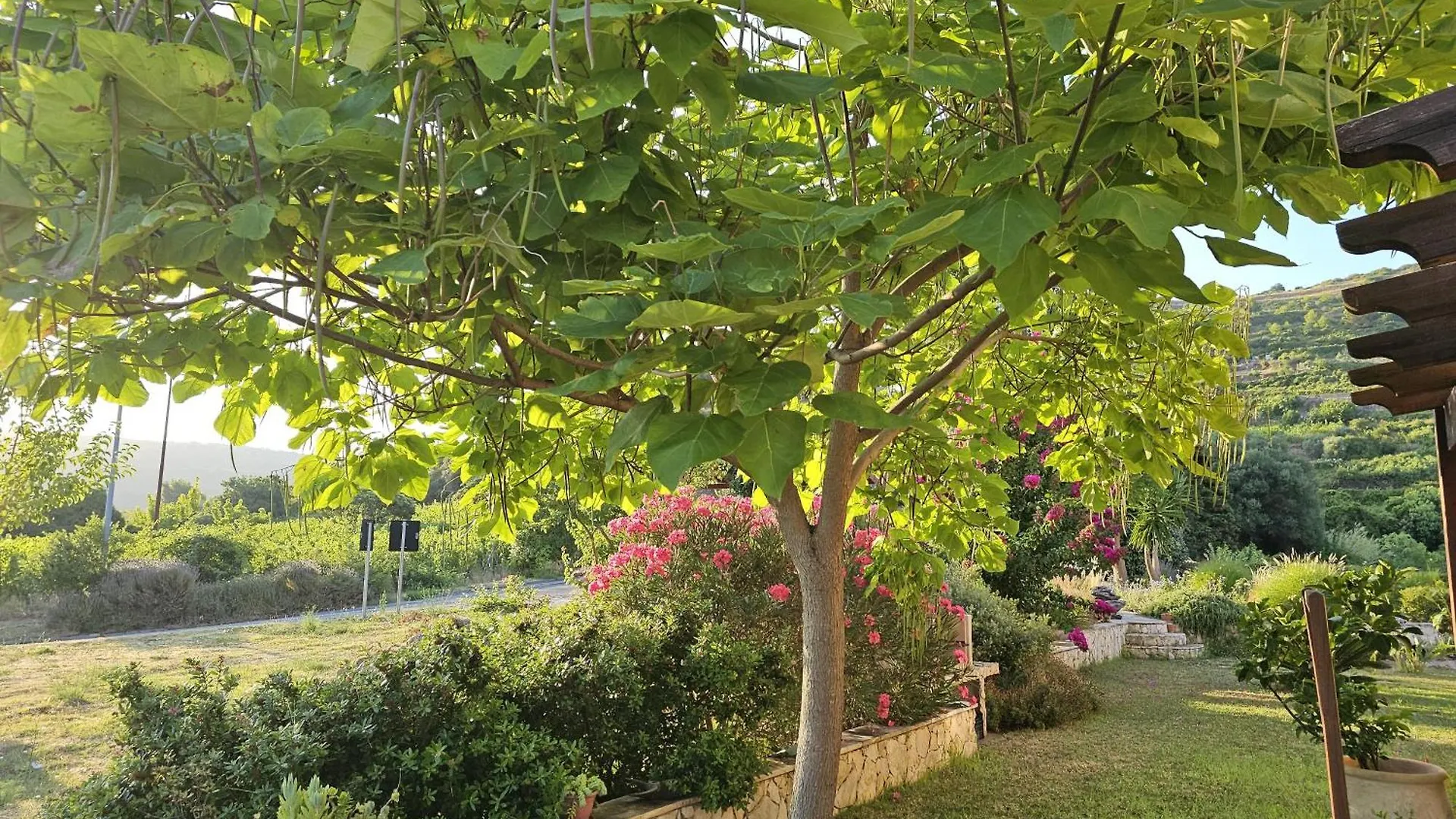Il Castello Di Modolo Bed & Breakfast